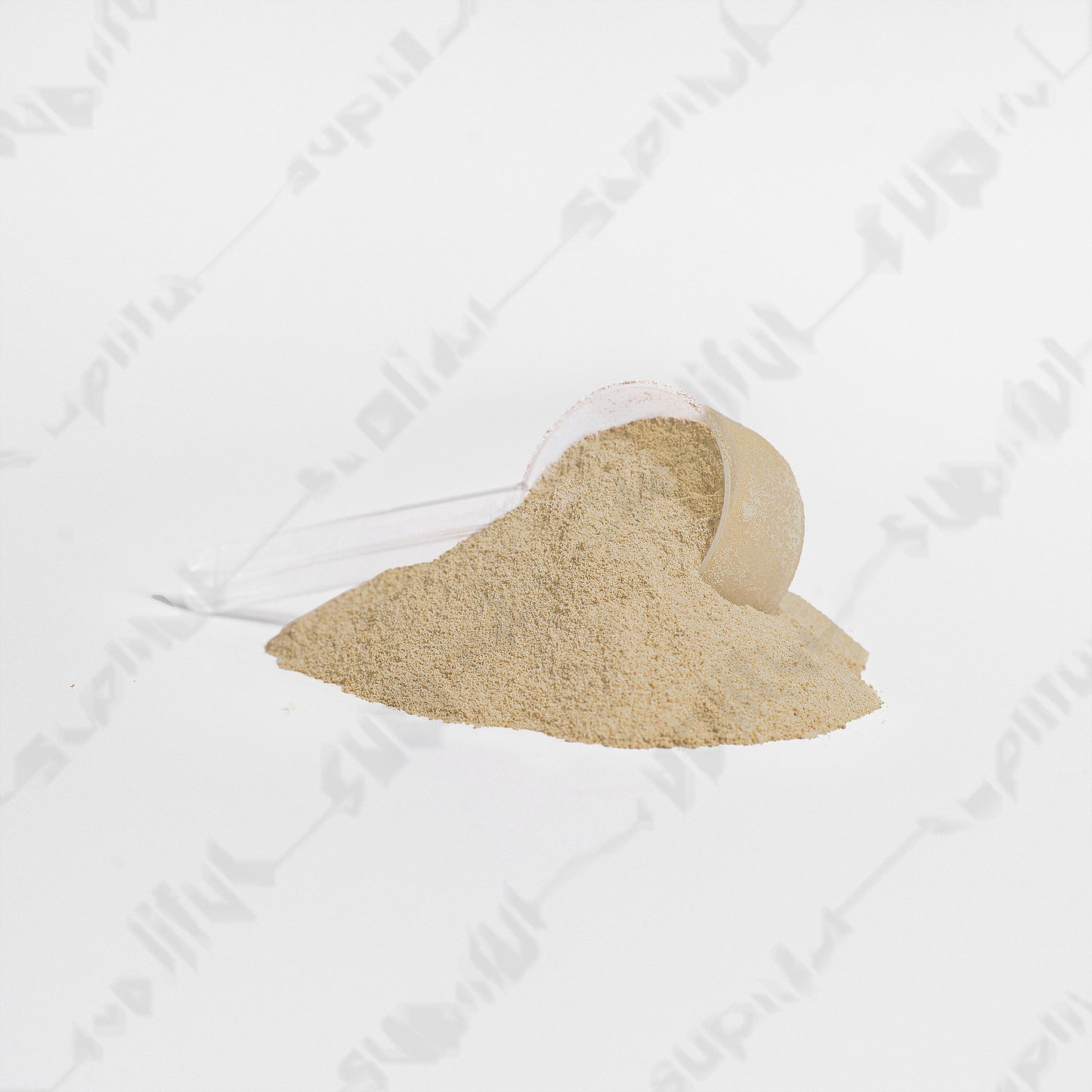 Premium Vanilla Whey Isolate | 22g Protein | Al'Proto by Man Balance USA